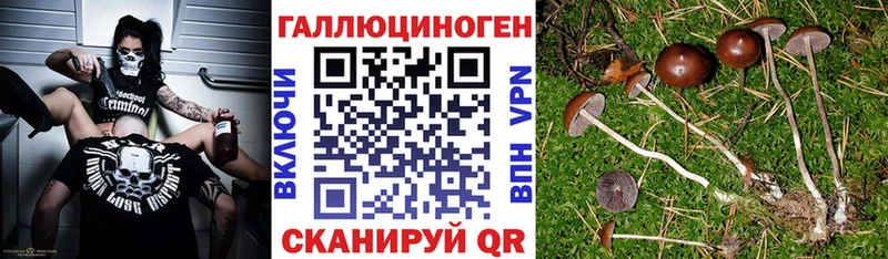 гидра ССЫЛКА  Шиханы  Псилоцибиновые грибы прущие грибы 